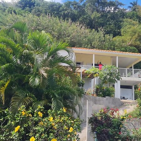 Villa Zephyr Domaine Roses Des Vents سانت-ماري المظهر الخارجي الصورة